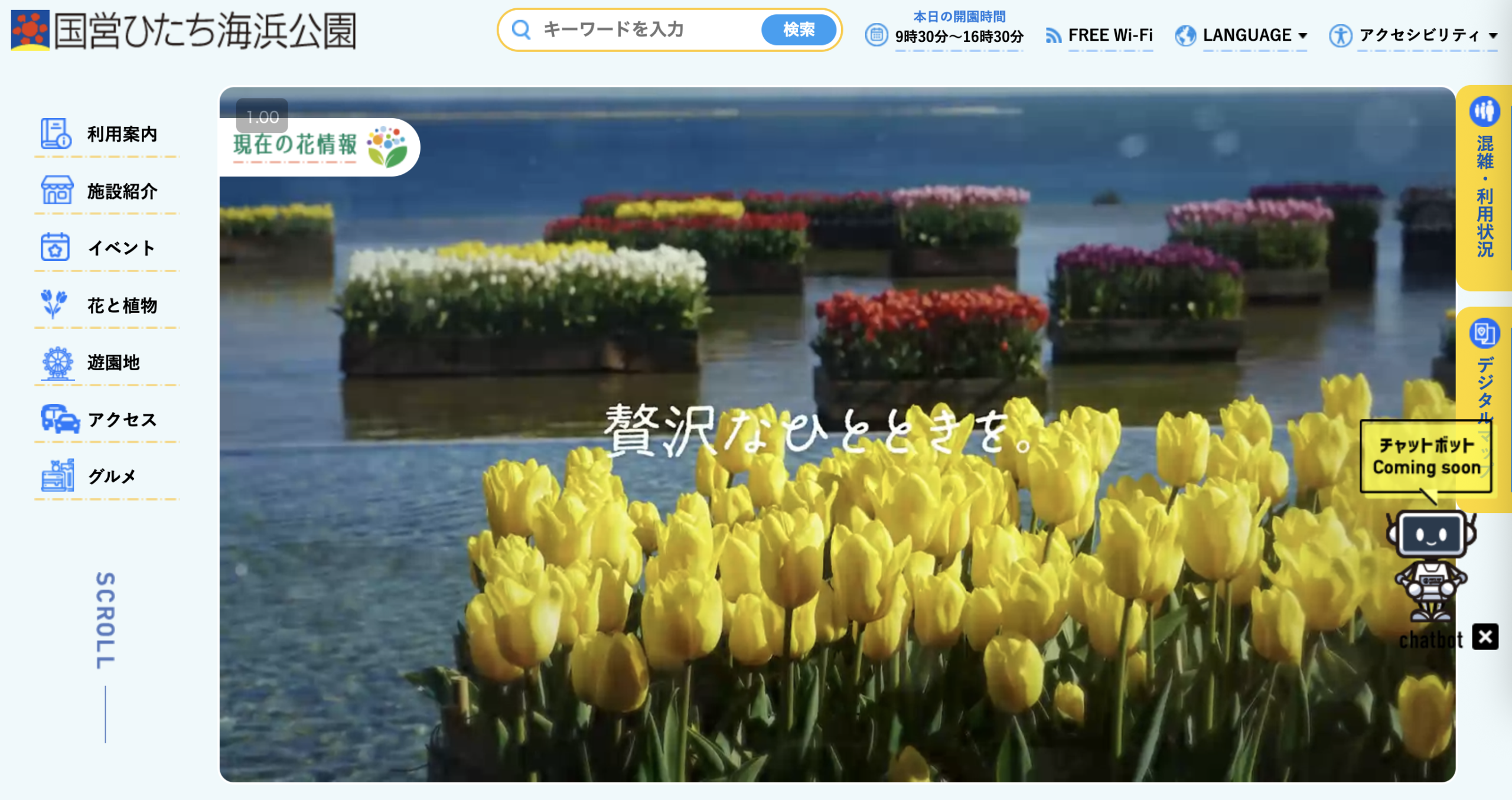 国営ひたち海浜公園