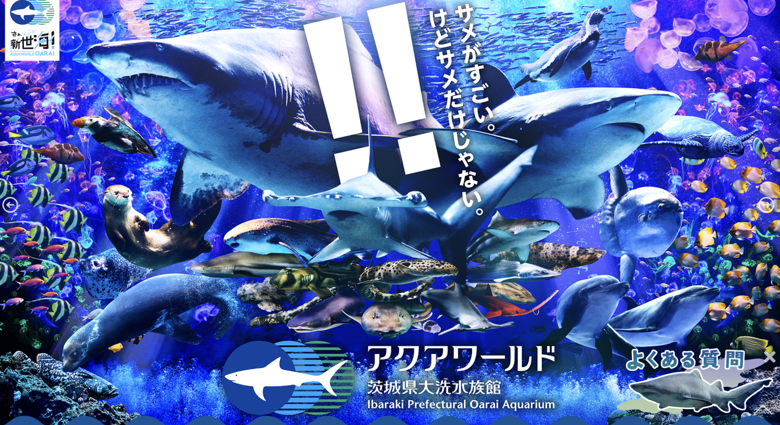 アクアワールド茨城県大洗水族館